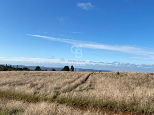 Parcelas Conexión Privada A Puerto Varas Y Los Muermos