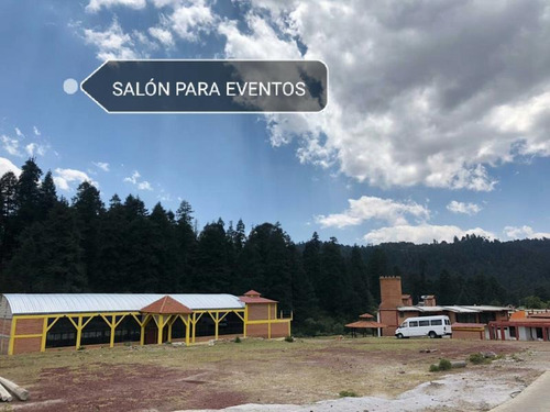 Imagen 3 de 12 de Terreno En Venta Dentro De Impresionante Bosque, Tenemos Lotes Escriturados!
