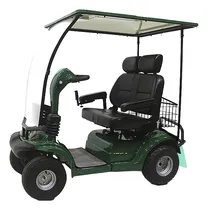 Comprar Carro Electrico Golf Con Techo Para 2 Personas