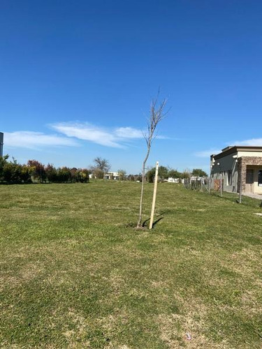 Oportunidad! Lote De 530m2 En San Ramiro (pilar Del Este)