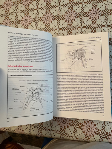 El Gran Libro De La Salud- Readers Digest (Usado)