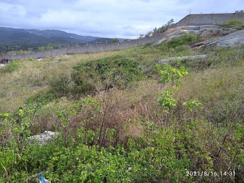 Imagem 4 de 6 de Terreno Em Cruzeiro, Gravatá/pe De 3000m² À Venda Por R$ 350.000,00 - Te1195112-s