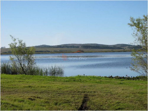 Terreno En Punta Del Este ,barrio Privado:laguna De Los Cisnes