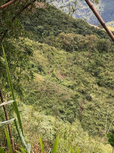Venta De Lote De Terreno En Sabaneta Del Hatillo, Mcpio El Hatillo, Caracas. Mr