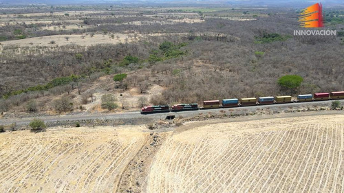 Se Vende Rancho De 186 Hectareas Planas, Tractorables, Limpias En Cuauhtemoc, C