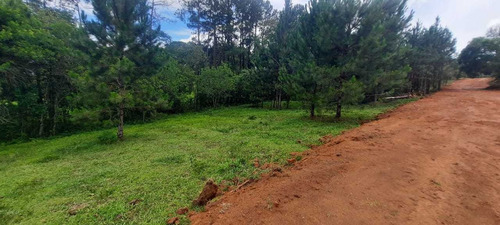 Imagem 2 de 7 de #v#h 11- Lotes A Venda Pra Investir