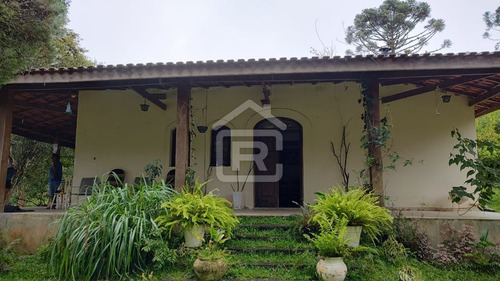 Imagem 15 de 30 de Mini Haras - 213 - 70588973