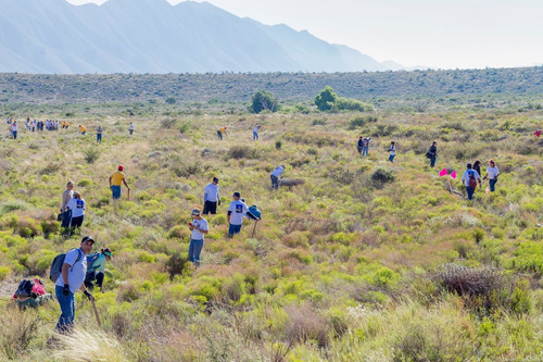 Apoya Tu Bosque Local Donativo Para Reforestacion