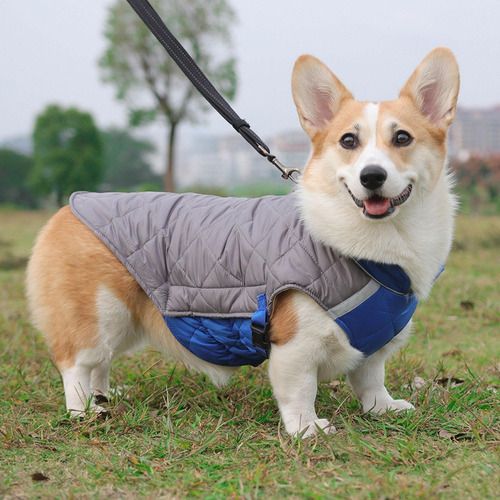 (g-2xl) Chaleco Reflectante Para Perros Con Anillo En D Para