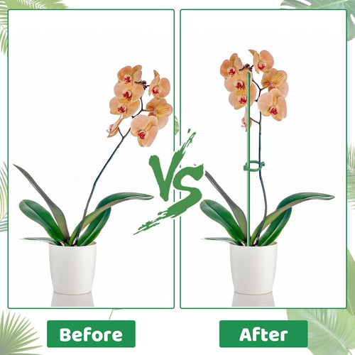 Estacas Para Plantas, 28 Varillas