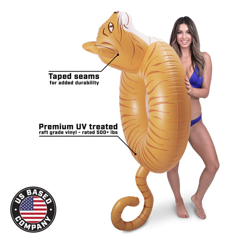 Balsa Inflable Para Adultos Y Niños Estilo Meowzers Gato
