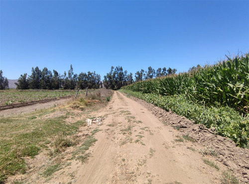Terrenos Agrícolas Con Agua Venta María Pinto Curacavi
