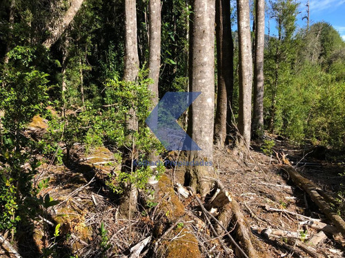 Terreno En Venta En Cisnes