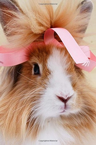 Fluffy Brown And White Bunny Rabbit With A Pink Bow Pet Jour