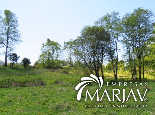 (3161) Parcela De 5000 M2 En Quetroco. Camino Licanray