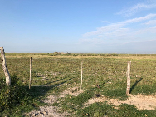 Campo En Santiago Del Estero Apto Para Explotación Ganadera (2200 Ha)