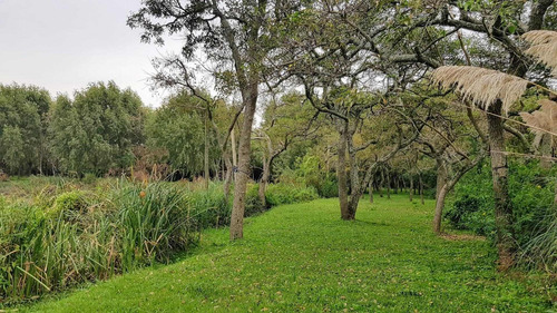 Imagen 23 de 30 de Lote Venta 2da Sección Delta Islas Sobre Paraná De L. Palma