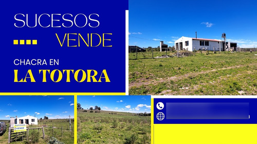 Sucesos Vende 12 Has Con Casa ¨un Pedacito De Paraíso, De Paz Y Tranquilidad Paraje La Totora