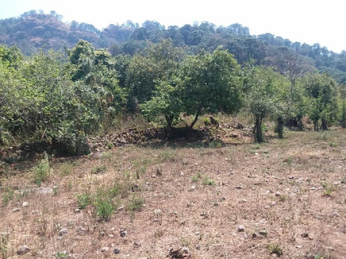 Imagen 3 de 4 de Terreno En Venta En Santo Domingo, Tepoztlán $2,530,000.00