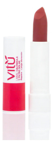 Labial Vitu Caléndula 4g - g  Color 10 Annato