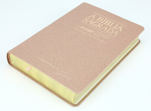 Bíblia Acf | Letra Gigante | Luxo | Rcm | Pjv | Rosa Gold, De Acf., Vol. 1. Editorial Sbtb, Capa Mole Em Português, 2020