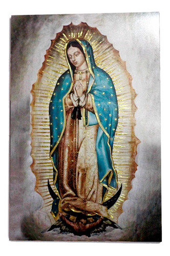 Cuadro De La Virgen De Guadalupe 30x45cm