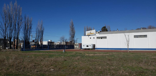Imagen 8 de 10 de Alquilo Galpón 2000 M2 70 M2 Ofi Y Predio 1 Has Cipolletti