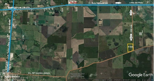 Imagen 30 de 30 de Quinta De 8 Has. A 1.800 Mts Ruta 226 - 100 % Agrícola