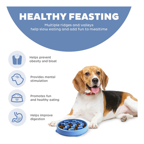 Tazon Para Perro De Comida Lenta En Laberinto Azul Mini