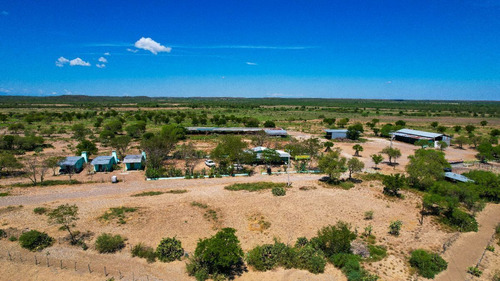 Venta De Rancho Ganadero En Linares