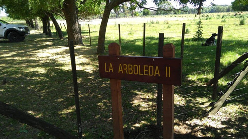 Hermosa Casa De Campo Con Pileta, Arboleda Y Caballos !!