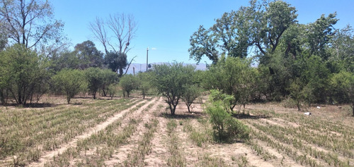 Imagen 5 de 12 de Lote En Venta De 360m2 Ubicado En Villa Dolores