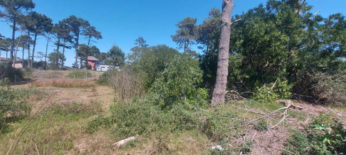 Terreno En Venta En El Bosque En Punta Del Diablo
