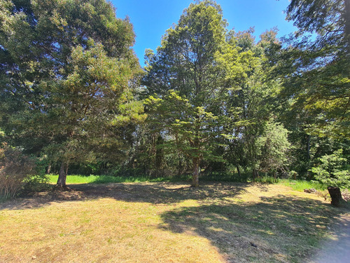 Parcela Sector Pancul (80144)