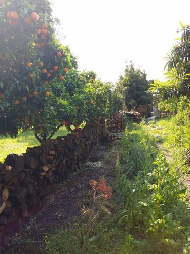 Imagen 3 de 5 de 2 Hermosos Lotes !! Venta Conjunta O Por Separado