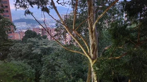 Vendo Apartamento En Castropol, El Poblado