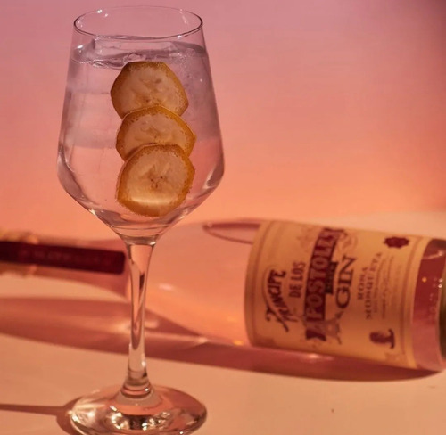 Gin Principe De Los Apostoles X3 Variedades 750cc