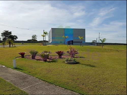 Imagem 16 de 28 de Terreno Industrial, W Park Condomínio Industrial, Mogi Mirim - Te08619 - 34837535