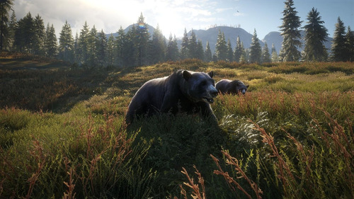 Thehunter: Call Of The Wild, Para Xbox One, Formato Físico