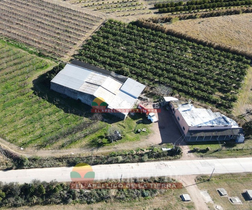 Imagen 2 de 30 de Chacra 3 Has En Melilla, Construcciones, Casi Ruta 5