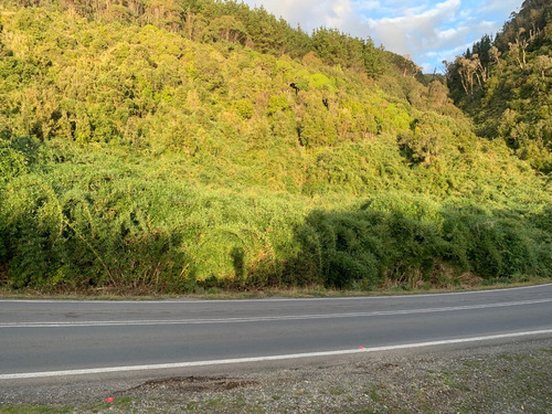 Parcela De 6.000m2 Playa La Misión Orilla Camino Valdivia.