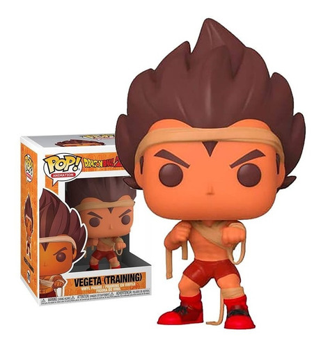 Funko Pop Vegeta Training Dragon Ball Z