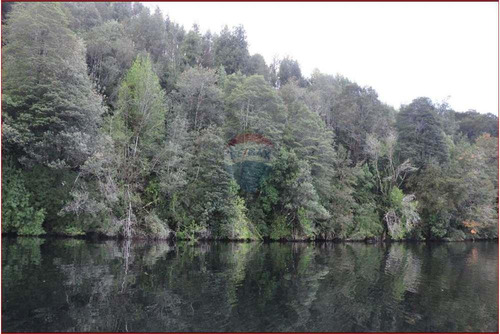Paraíso: Predio Y/o Bosque Con Dos Islas Privadas