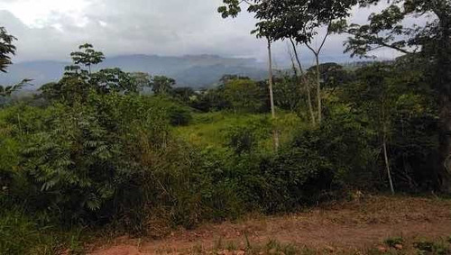 Imagen 2 de 14 de Baja De Precio... En Venta Finca En El Municipio Montalban - Carabobo