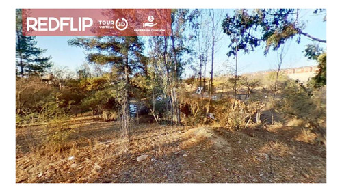 Imagen 14 de 16 de Terreno 10.000 M2/ Los Aromos/ Villa Alemana