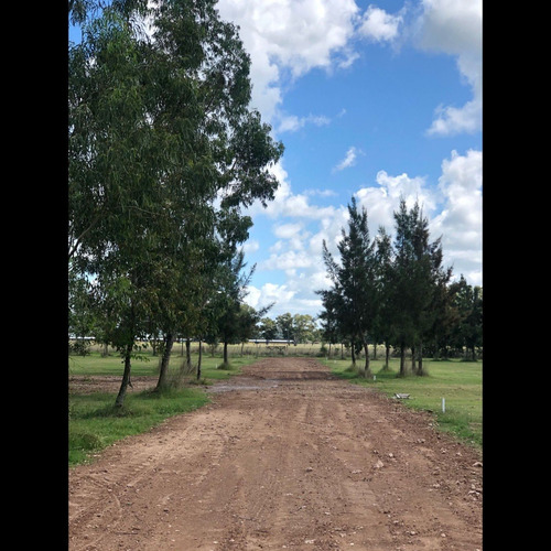 Imagen 6 de 10 de Lotes En Cañuelas.