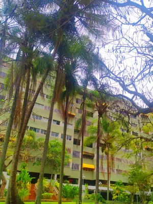 Apartamento en alquiler