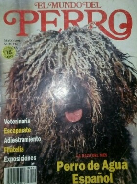 Revista Antigua Perro De Agua ,cuidados Y Crianza