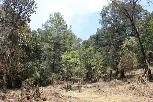 Imagen 9 de 10 de Terreno En Paraje Tetecuintla, Huitzilac, Morelos.
