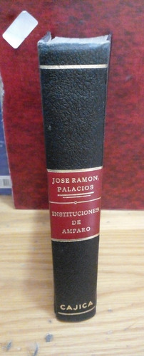Instituciones De Amparo. Jose Ramon Palacios